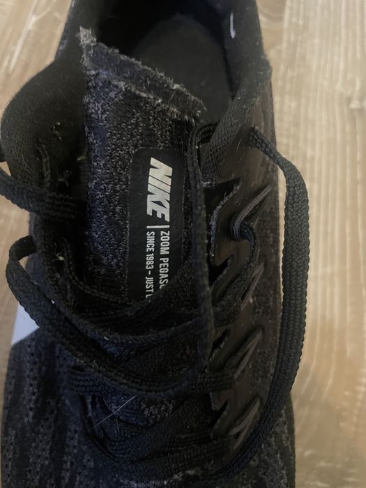 Nie air zoom pegasus 38