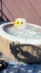 Vând piscina stil jacuzzi