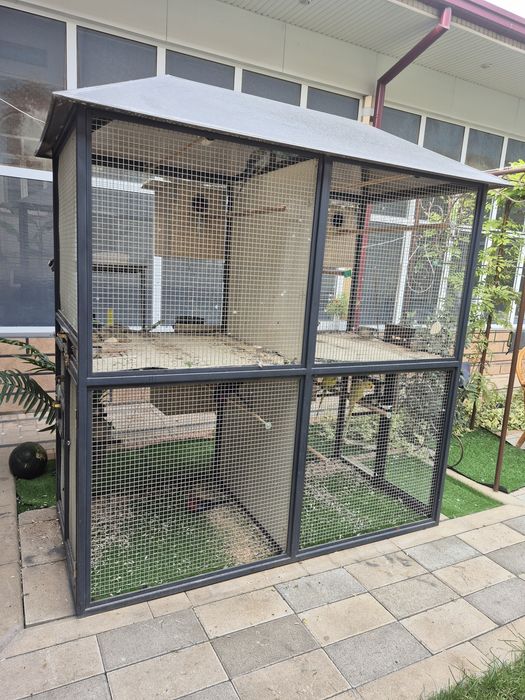 Тути кушлар ва кафас сотилади келишилган холда мурожат учун тел 90 174