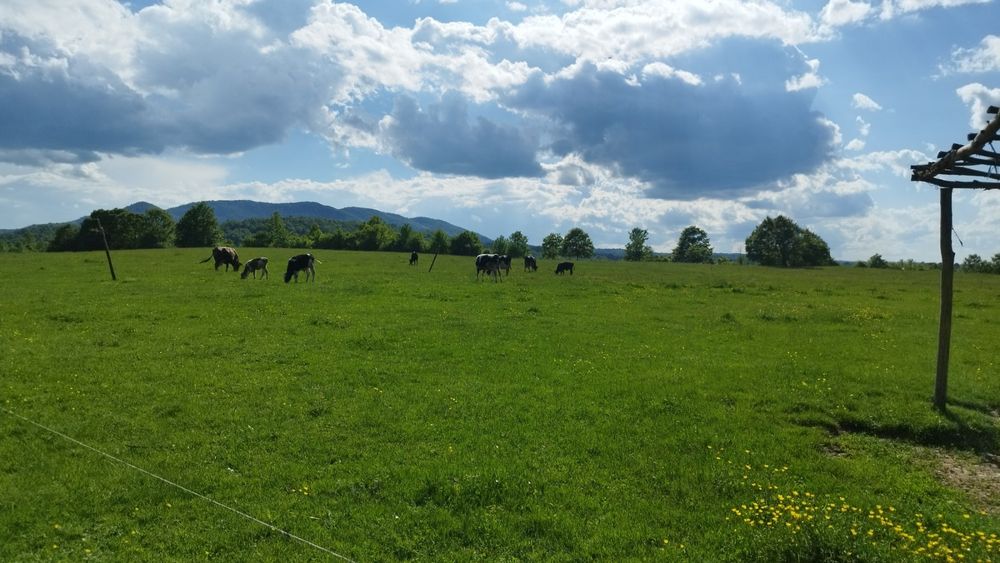 Земеделска земя в Гр. Елена общ. Велико Търново