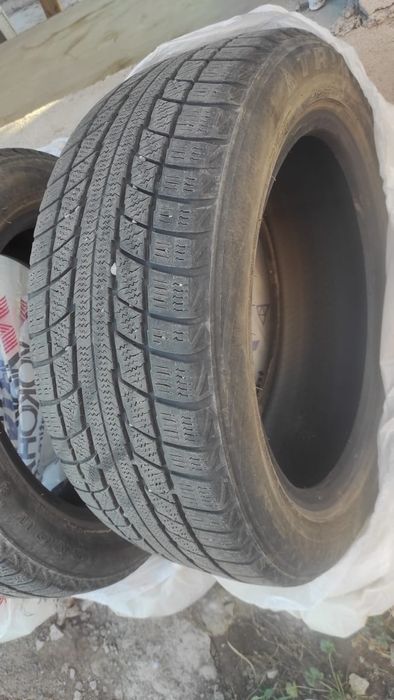 Продам шины зимние triangle