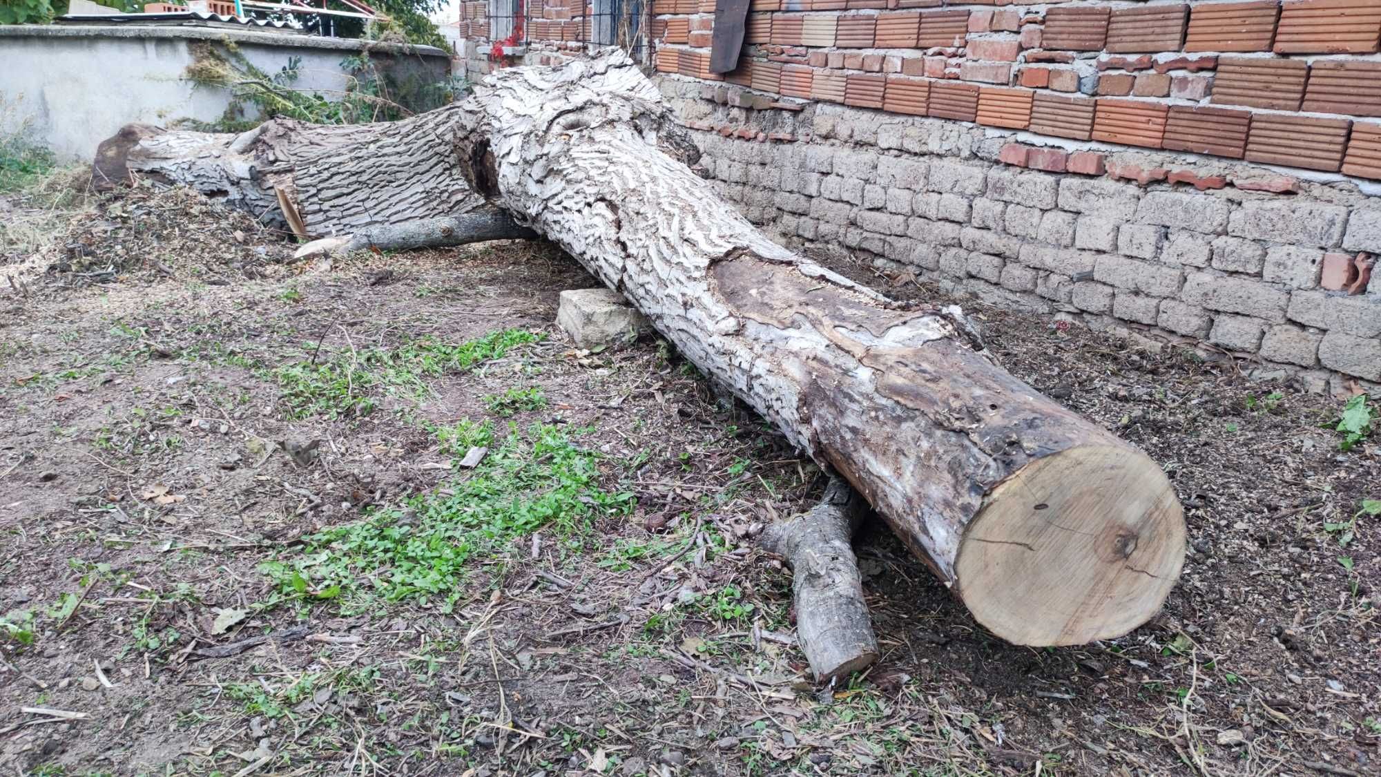 Продавам орехови трупи