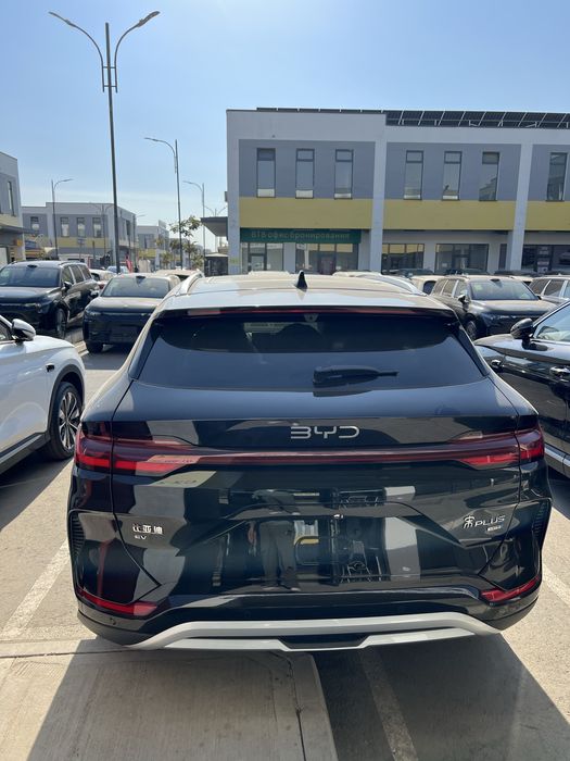 Byd chempion smart