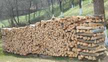 Vand lemne de foc esență tare