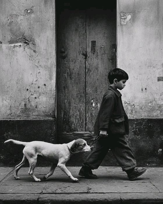 Программирование Php mysql fremwork