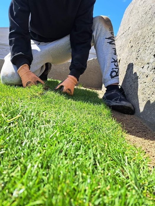 Îngrijire spații verzi,tualetare tui,copaci