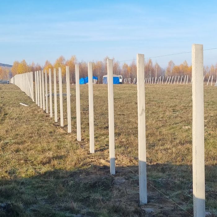 Stalpi din beton /spalieri /stalpi gard