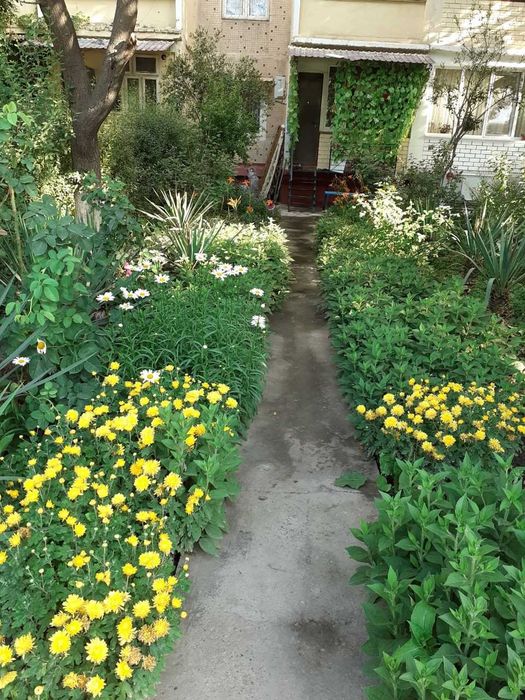 Квартира в Сергели 4