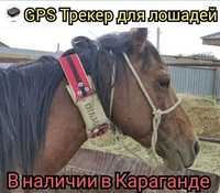 Мониторинг ЖПС GPS трекер / автомобиль және жануарлар,жылкы,сиыр,туйе