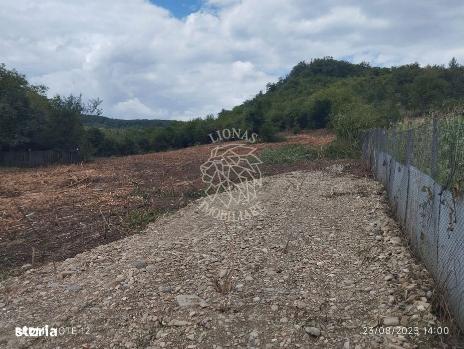 Teren 1200 mp-pretabil casa si gradina-Viisoara