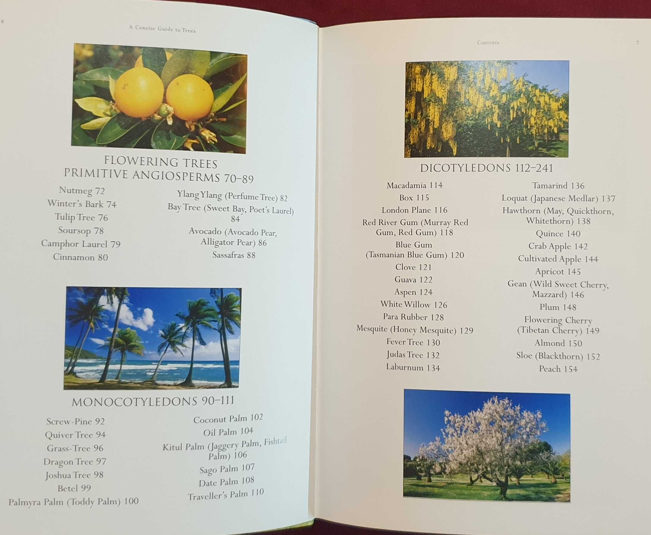 Справочник на дърветата по света / A Concise Guide to Trees