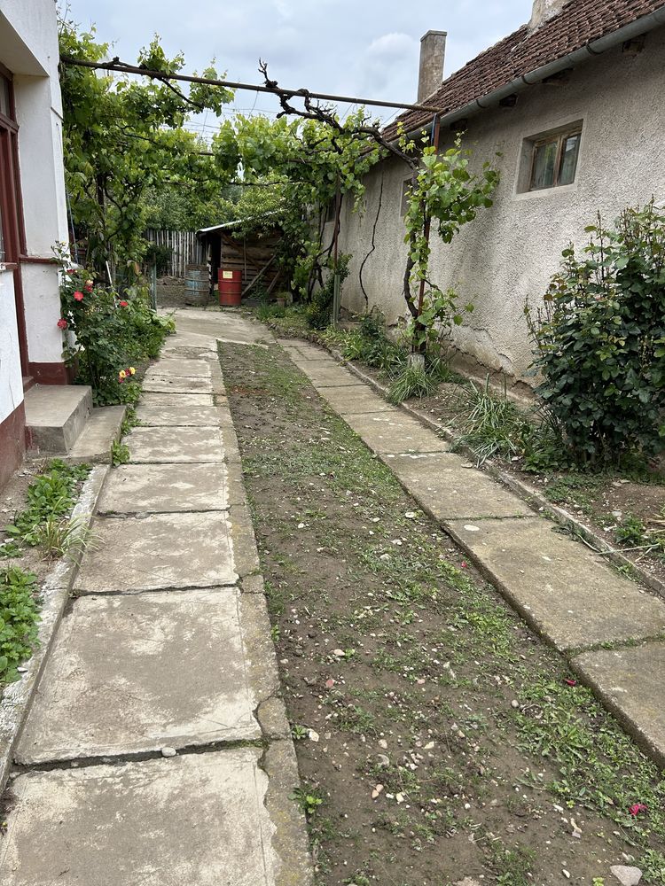 Casa de vanzare in Tinca