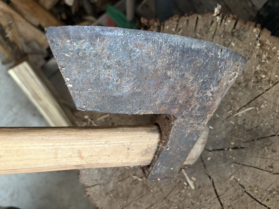 Bardă mare fier puternic dezvoltată