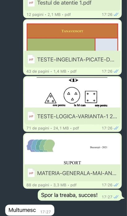 Teste psihologice MAI/MAPN/ANP/SGP