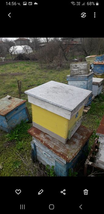 Продажба на кошери