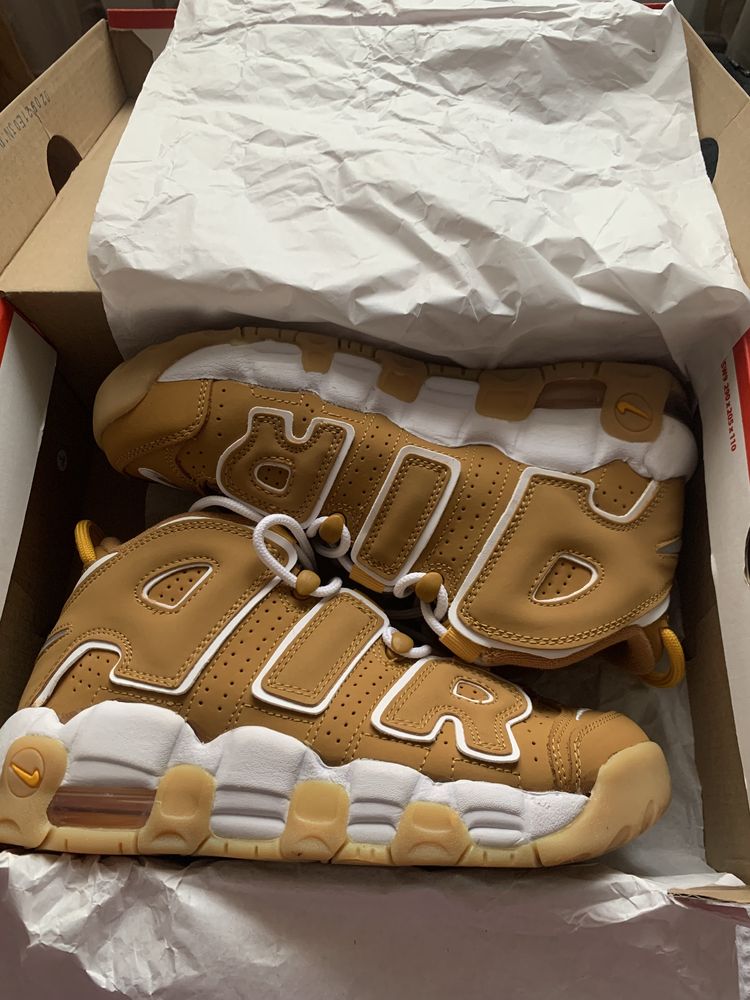 Uptempo uri Wheat