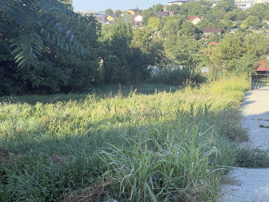 Teren de vanzare Valea Lupului