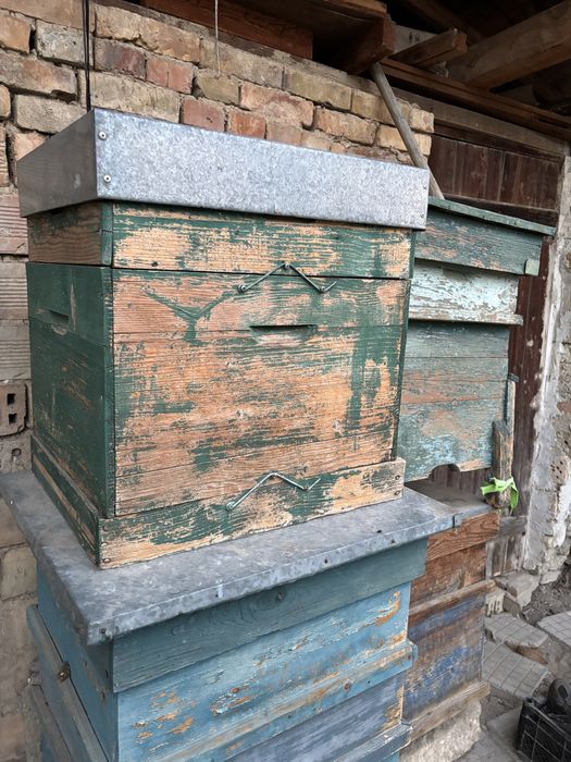 Пчелни кошери без пчели