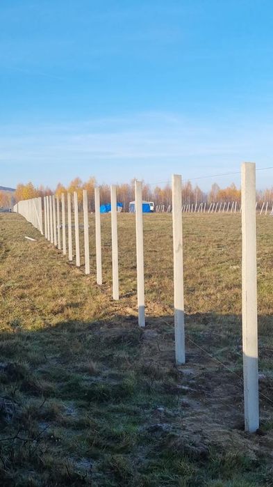 Stâlpi dim beton /stapi pentru gard