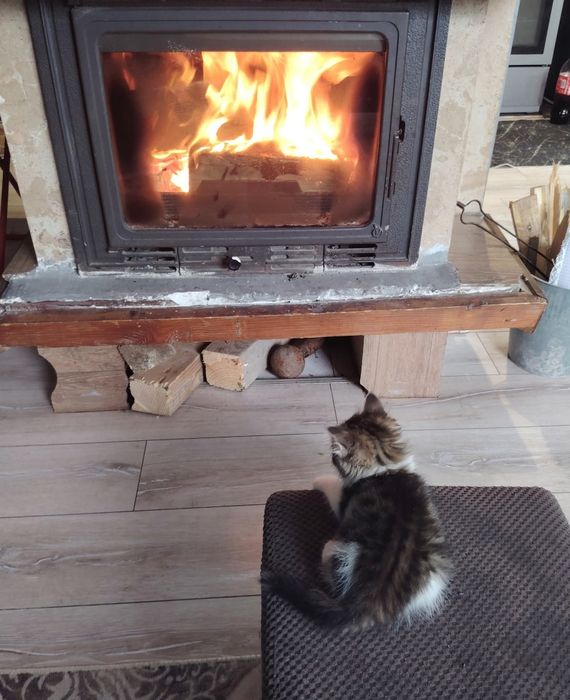 Подарявам бебе Рая