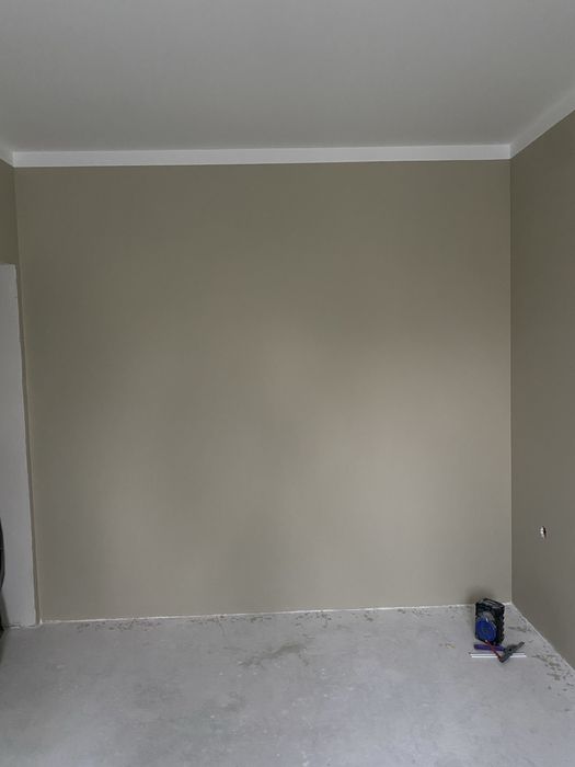 Краска Betek momento max