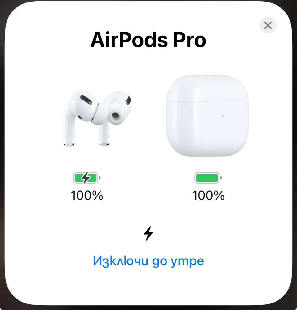 Air Pods Pro (не използвани)