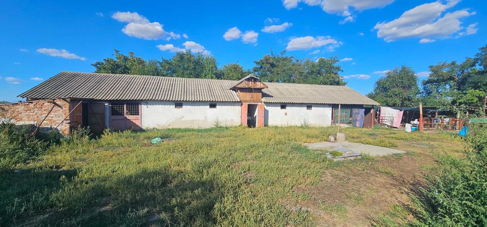 Ferma 6000 mp (cladiri, grajduri, hambar - intravilan)