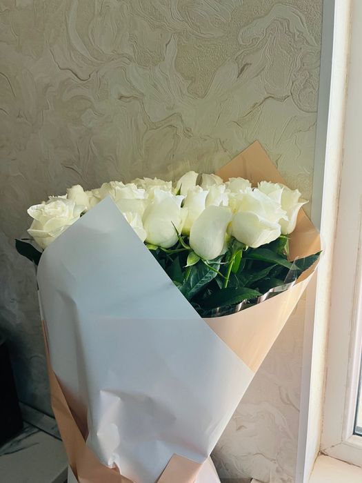 41шт роза метровый