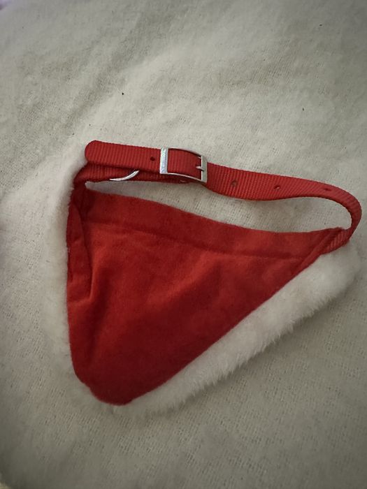 Bandana catel de Craciun