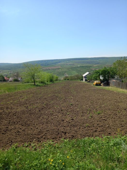 Teren de vanzare-Tomesti,Chicerea- 3000 mp
