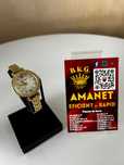 Ceas Laura Ashley Amanet BKG