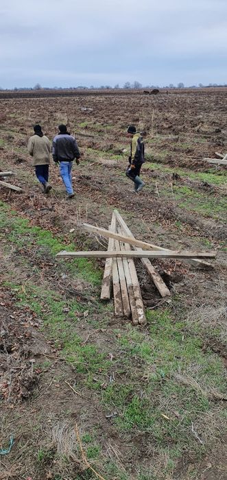 Vând spalieri de beton
