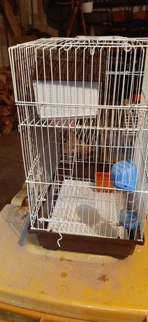 Cușcă pentru hamsteri