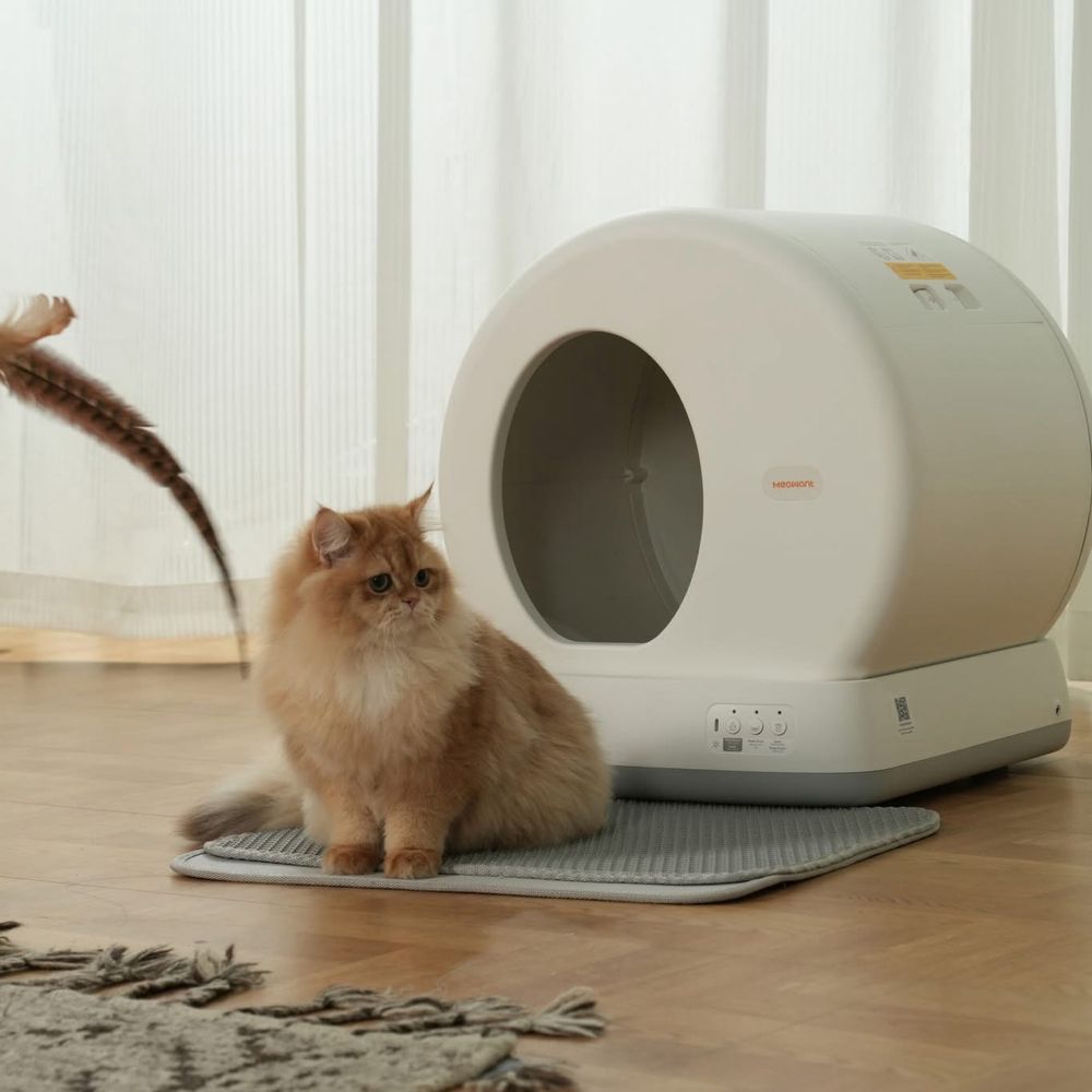 Litieră Automată Inteligentă MeoWant noua nefunctionala