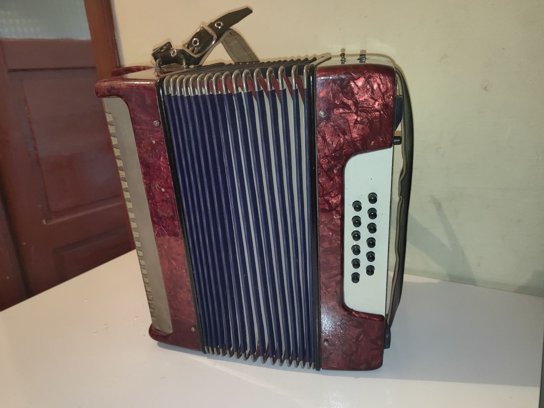 Acordeon copii .
