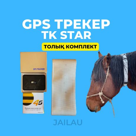 GPS трекер для лошадей. TK Star, Ошейник. Жылқыға арналған GPS трекер