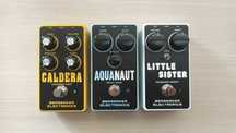 Berserker Electronics delay, boost, fuzz pedale chitara Made in TX USA