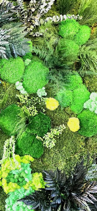 Panou plante stabilizate naturale