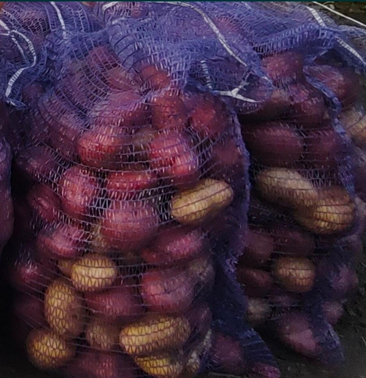 Продам дачу Черёмушки