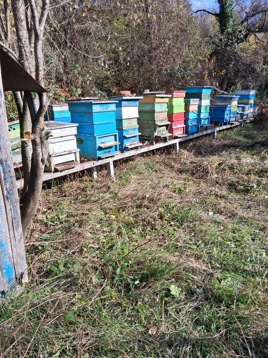 Продава се Къща в с. Горно Уйно, Област Кюстендил - 33 кв.м за 379 €/кв.м - Снимка #3