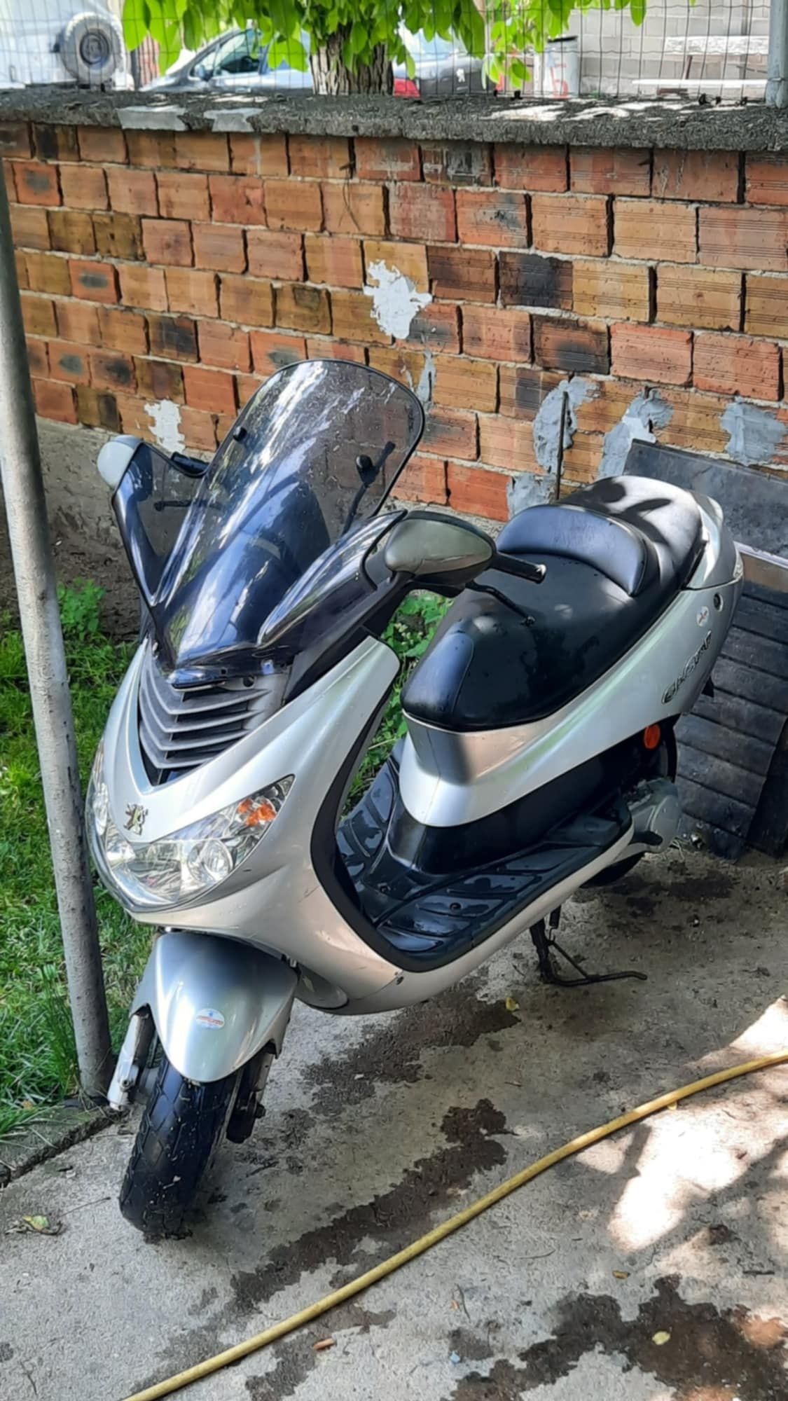 Peugeot Elyster 50 кубика