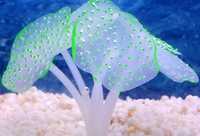 Искусственные кораллы