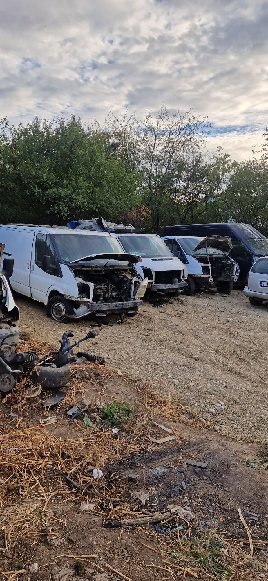 Dezmembrări ford transit An 1995//2010