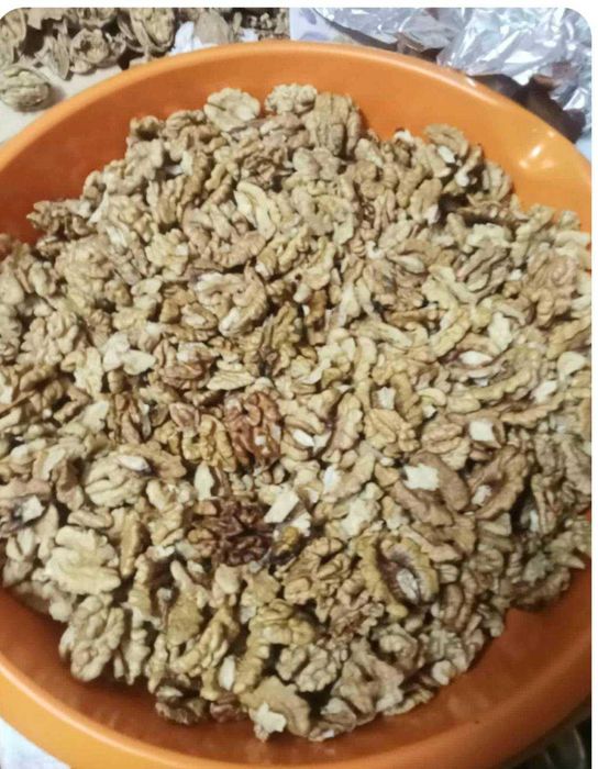 Vand miez de nuca soiul Miroslava,productie 2025.