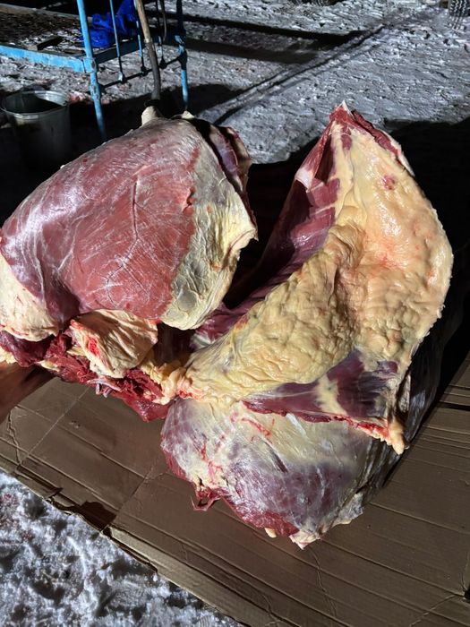 Жабағы еті, бармақ қазы 138 кг