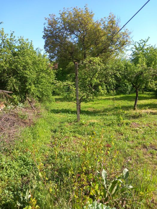 Продава се Къща в с. Долна Гращица, Област Кюстендил - 228 кв.м за 145 €/кв.м - Снимка #4