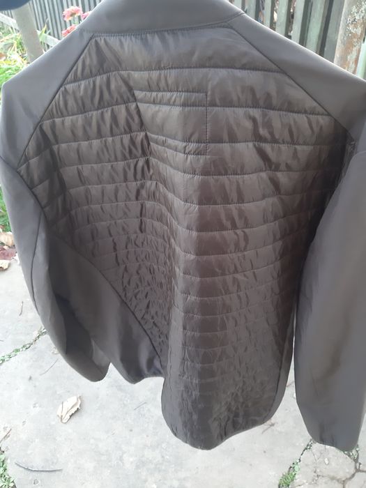 Jacheta ferrini barbateasca 50