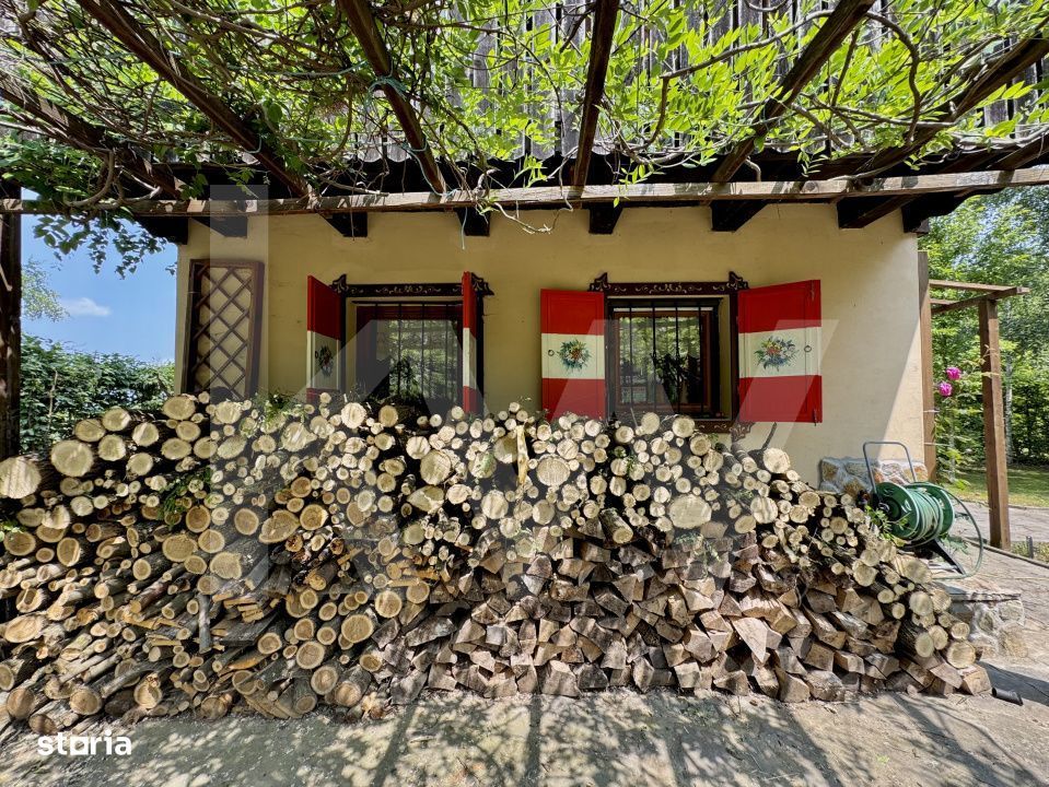 Cabana rustica de vis pe Valea Avrigului – un colt de rai in mijlocu