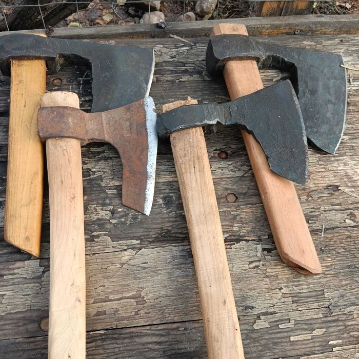 Bardă măcelar din foaie de arc