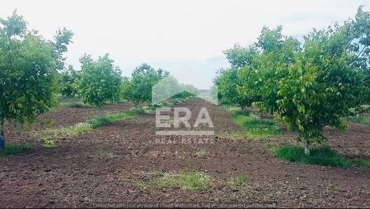 Продава се Земеделски имот в с. Семерджиево, Област Русе -  кв.м за 2447 €/дка - Снимка #1